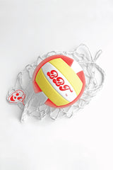 BBT Multi Color Custom Logo Volleyball